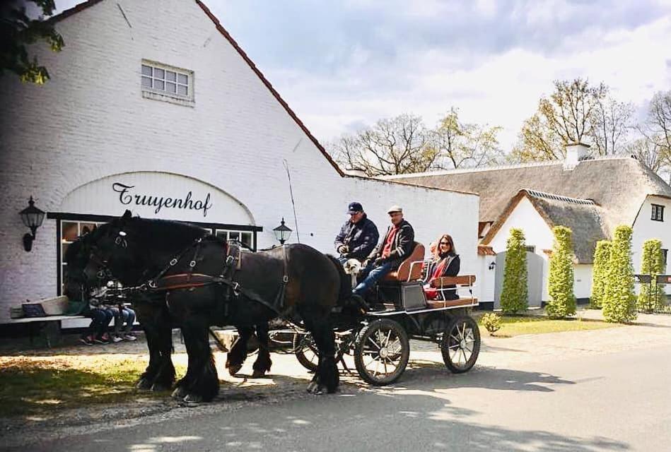 Truyenhof Bed & Breakfast Bree Eksteriør bilde